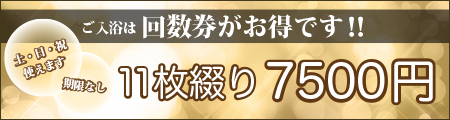 回数券　11枚綴り7500円