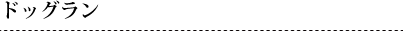 ドッグラン